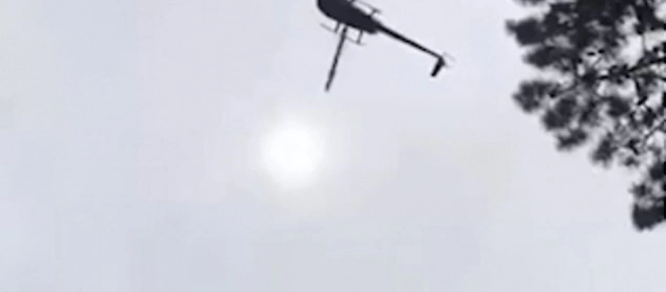 Έριξαν από ελικόπτερο γουρούνι σε πισίνα επιχειρηματία! (βίντεο)